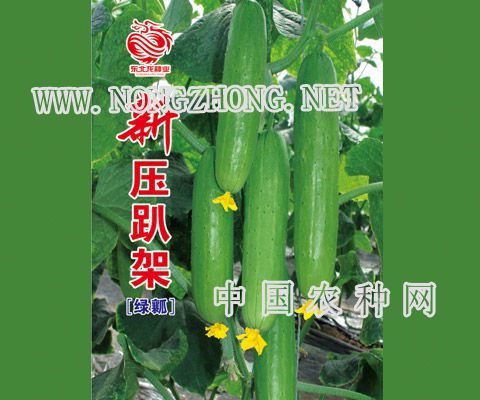 新压趴架